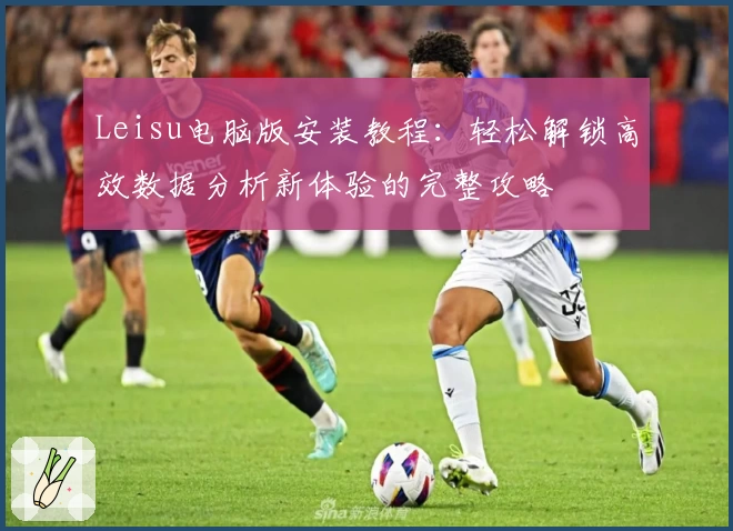 Leisu电脑版安装教程：轻松解锁高效数据分析新体验的完整攻略